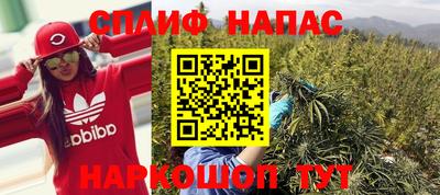 прущие грибы Кинель