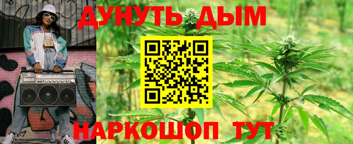 Марихуана сатива Кольчугино